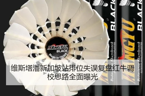 维斯塔潘新加坡站排位失误复盘红牛调校思路全面曝光